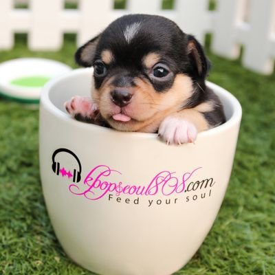 https://t.co/JPBnx28A3E is an Amazon affilate/Blog site that wants to help feed and heal your soul thru kpop music and culture Spreading the kpop love.