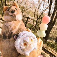 卯月@取引垢 (@utsuki26love) 's Twitter Profile Photo 卯月@取引垢 (@utsuki26love) 's Twitter Profile Photo