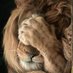 Van Wellen (@stophetfakenews) Twitter profile photo Van Wellen (@stophetfakenews) Twitter profile photo