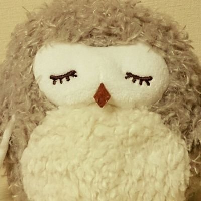 白柿＠まだついったにいるさんのプロフィール画像