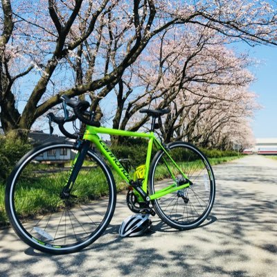 cannodale_nori's profile picture. 