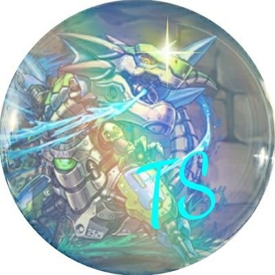 てぃーえすさんのプロフィール画像