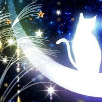 ニィナ※取引固ツイ必読 (@theendofthefool) 's Twitter Profile Photo ニィナ※取引固ツイ必読 (@theendofthefool) 's Twitter Profile Photo