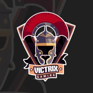 Official Twitter account of Victrix Gaming. Contact: business.victrixgaming@gmail.com #VictrixERA #VictrixCS #VictrixR6 #VictrixHS #VictrixPS4