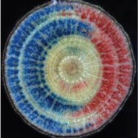 Plant Hydraulics Lab (@planthydraulics) 's Twitter Profile Photo Plant Hydraulics Lab (@planthydraulics) 's Twitter Profile Photo