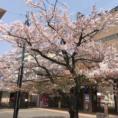 Fo27RrWYLUojoUJ's profile picture. 大分九重の温泉♨️ドライブ好き