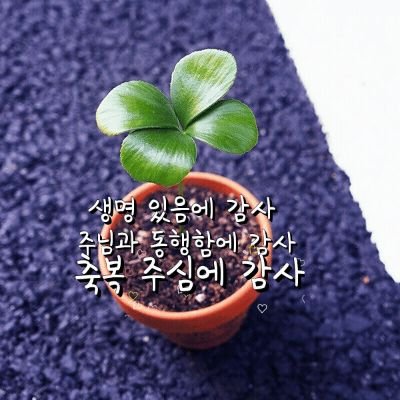 항상기뻐하고감사함