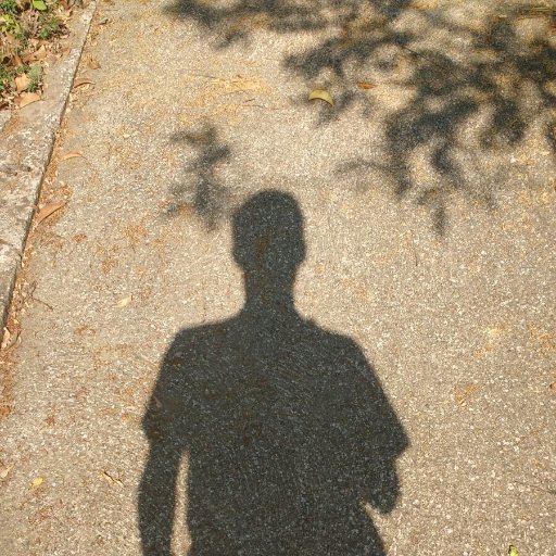 Javier_dcdp's profile picture. 