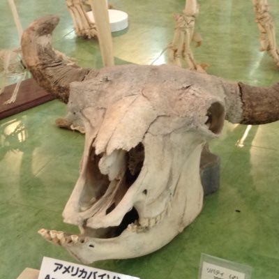 黒下（くげさんのプロフィール画像