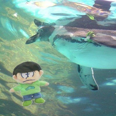 higuruma＠( ﾟдﾟ )＜ｸｹｰさんのプロフィール画像
