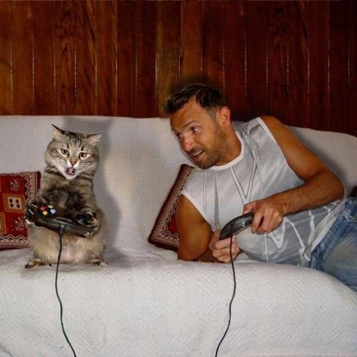 RobinIDhood's profile picture. Nur eine Fernost-Kopie vom Original. Kein Rächer der Enterbten, aber für Witwen wäre ich zu haben. Grün macht mich blass und den Bogen überspanne ich höchstens.