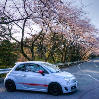 相棒はABARTH 500とKTM RC390