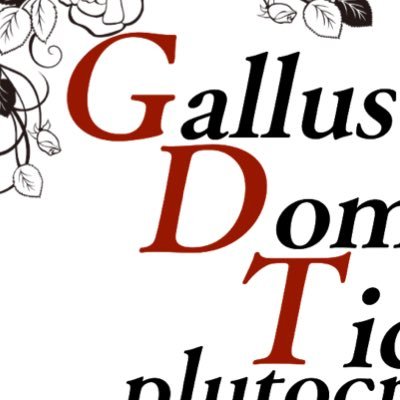 GDT entertainmentさんのプロフィール画像