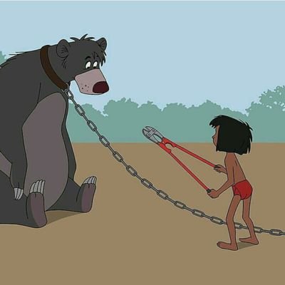 mowgli_moel's profile picture. hopeless case