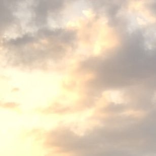 3kiji3's profile picture. ROM垢｜成人済み｜無言フォロー失礼します