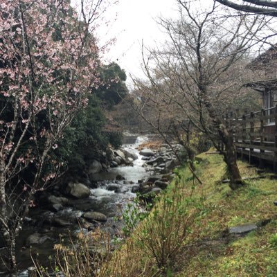 Brightone4314's profile picture. おはようございます( ´▽｀) ポタオデ沼に浸かる日々。/ハンダが好きで収集しています/ケーブル製作再開