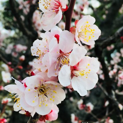 東堂 燦 (@sun_todo) / Posts / X