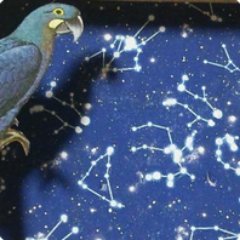 芳野悧子さんのプロフィール画像