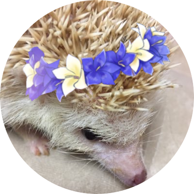コウ Luckyup10 Twitter コウ Luckyup10 Twitter