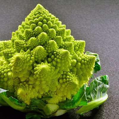 MorihiroOhta's profile picture. Univ.Ryukyus → Ph.D. student at OIST. / from Nago, Okinawa, Japan. / Hybrid Quantum Device team / Spins in Diamond / MASER