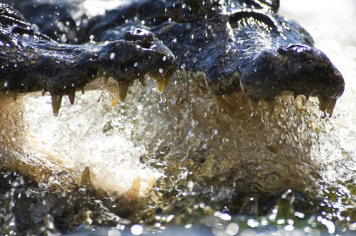 Kabot_1's profile picture. we make a living by what we get, but we make a life by what we give Winston Churchill