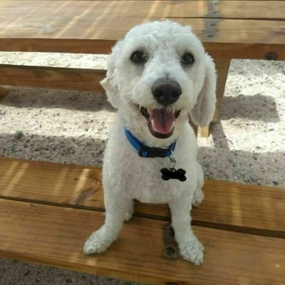 darckym's profile picture. 