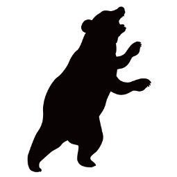 ノラさんのプロフィール画像