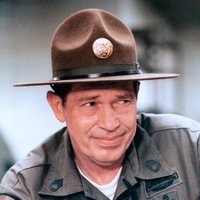 The Gif Sgt (@thegifsgt) 's Twitter Profile