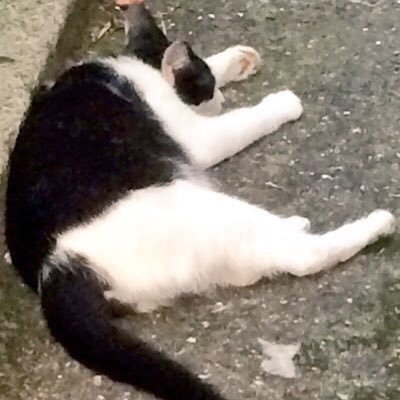 まぐ郎さんのプロフィール画像