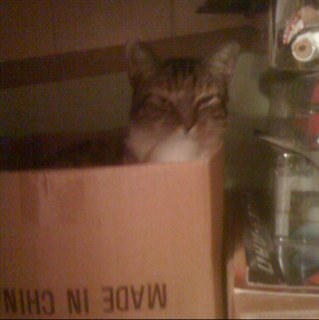 Supersonic7694's profile picture. 