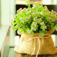 abdalruhmin.hajali (@asha_asha1988) Twitter profile photo