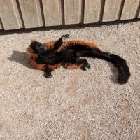 XYZ (@xyzkja2) 's Twitter Profile