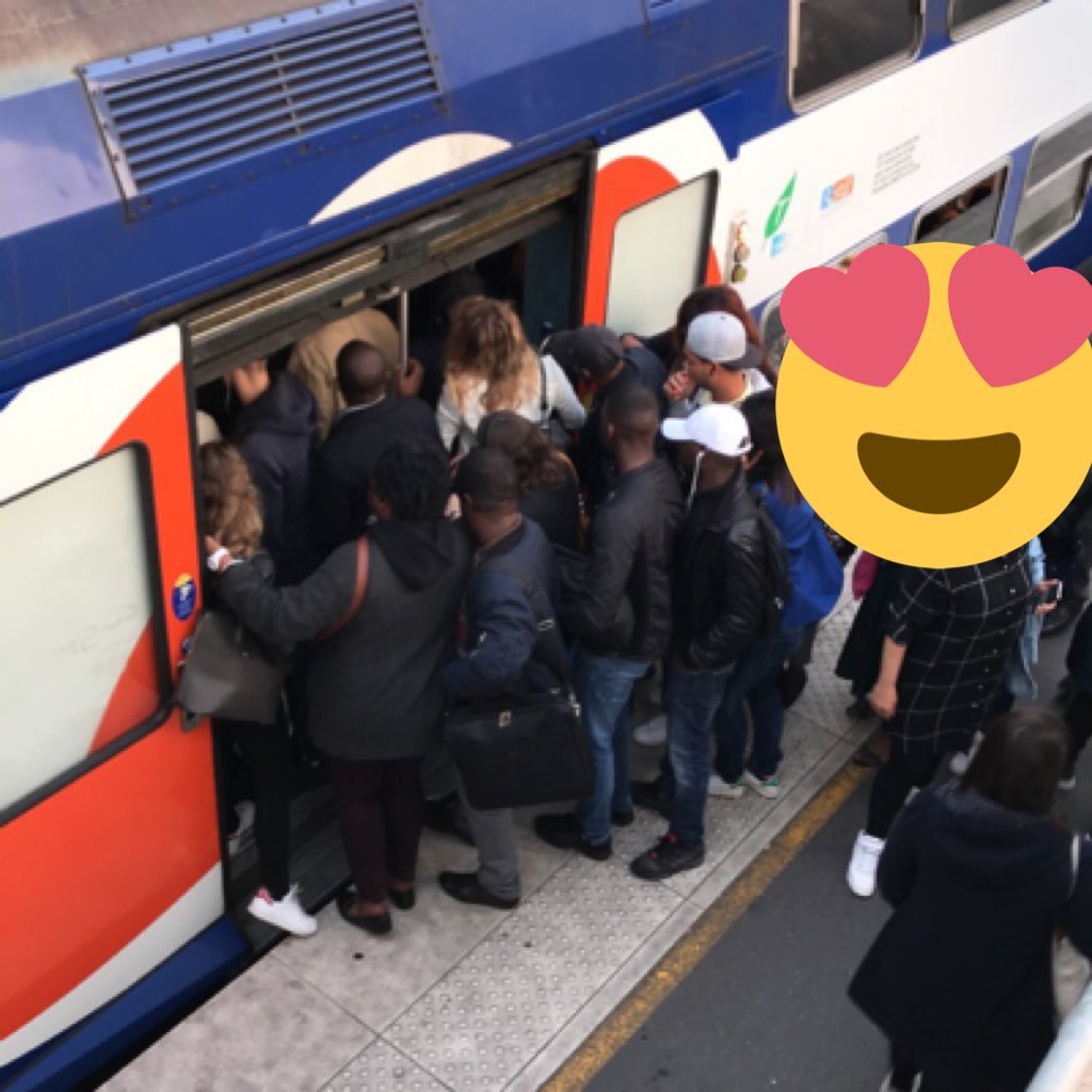 RERDEnfer's profile picture. Usager du #RERD à bout. Ici pour dénoncer nos conditions de transport qui impactent nos vies perso et pro.