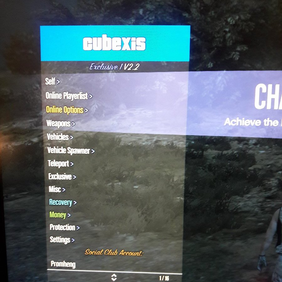Im a father and hard worker who likes modding on the side i mod gta 5 on pc so let me know if ya need some the menu i use is 100% safe :)