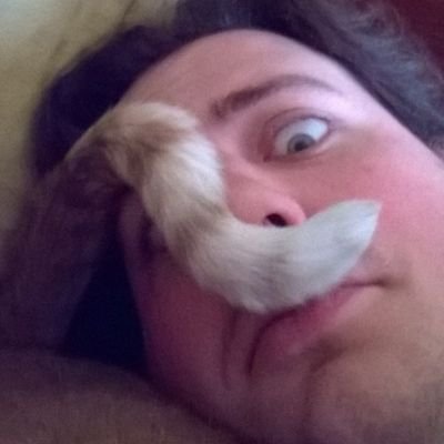 Chris_A_E's profile picture. I love cats, theatre, and Pokemon.