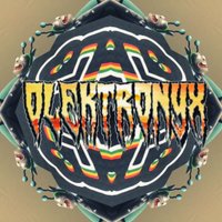 OLEKTRONYX (do u like da bass) (@olektronyx) 's Twitter Profile