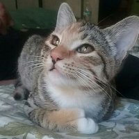 Ronnie (@readsalot81) 's Twitter Profile Photo