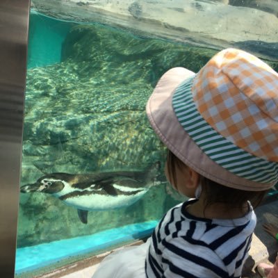 pal060601231's profile picture. 娘1人息子1人を育てております。ワンオペ6年目。だがもう慣れた。最近は息子の発達が遅いことが気がかり。息子は2020年9月生まれ。 STAY🐰ペン