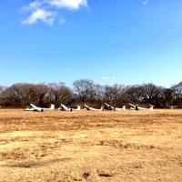 関西学院大学体育会航空部 (@kg_glider) 's Twitter Profile