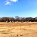 関西学院大学体育会航空部 (@kg_glider) Twitter profile photo 関西学院大学体育会航空部 (@kg_glider) Twitter profile photo