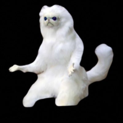 redwolves23's profile picture. 