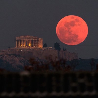 Abenzene's profile picture. 