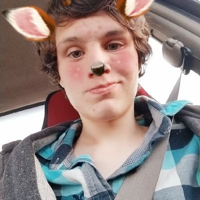 Teenturtle02's profile picture. 