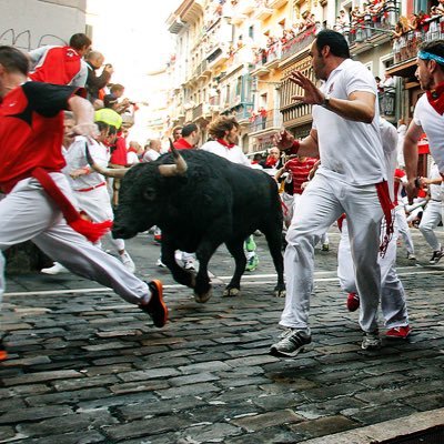 EyeOfTheToro's profile picture. Your one stop shop for information on the Running of The Bulls *This account is for educational purposes only.