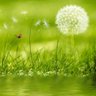 PPTTheme's profile picture. Explore the amazing world of Themes and templates in PowerPoint, and other Office applications.