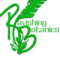 Ravishing Botanics(@Ravishja) 's Twitter Profile Photo