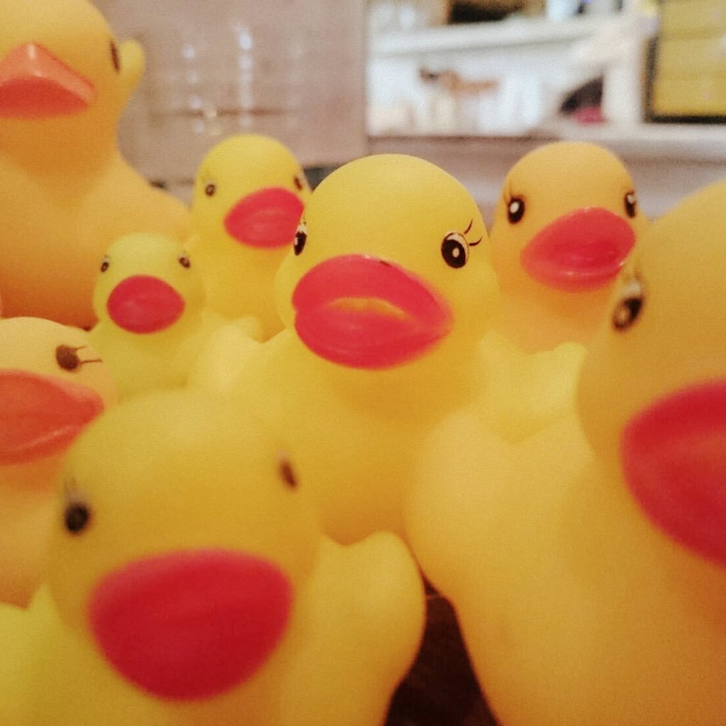 eriza1125's profile picture. 