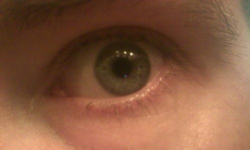 ccpharrell's profile picture. 