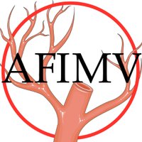 Association Française Internes Médecine Vasculaire(@afintmedvasc) 's Twitter Profileg