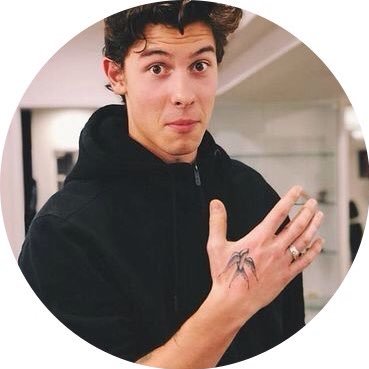 MendesArmyGlobal. Mendesarmy forever. @Shawnmendes